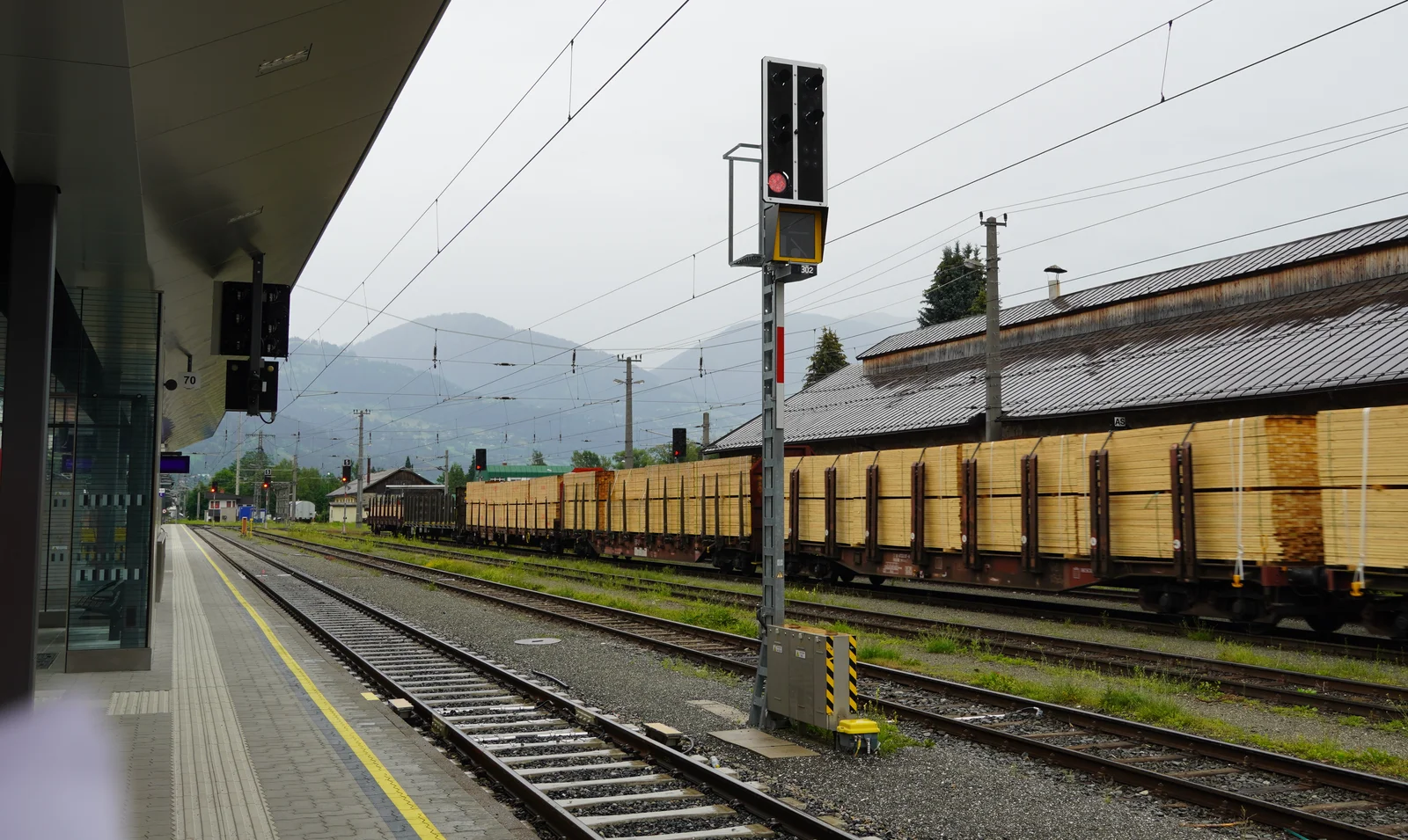 Freight train railcars loaded with harvested timber logs stationed at an alpine railway terminal.