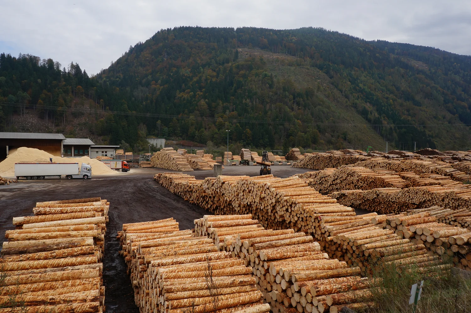High industrial log stacks of cut timber organized in an expansive open-air sawmill storage facility.