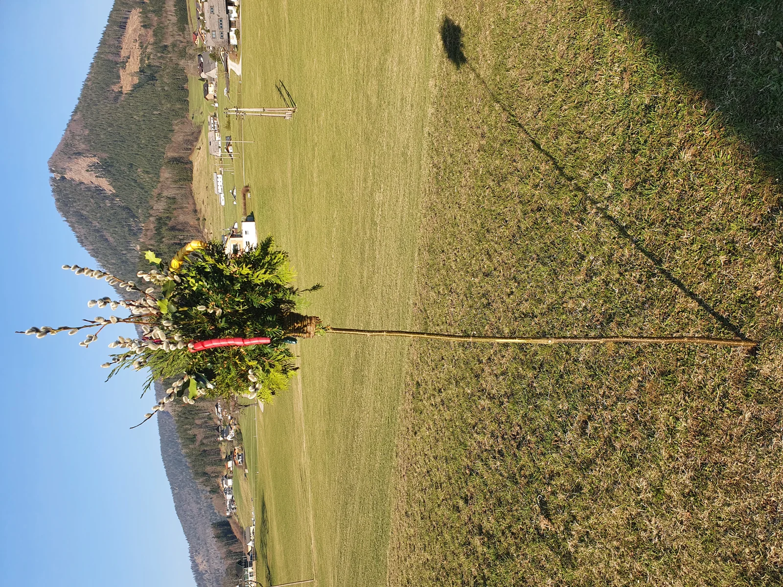 Intricately bound bundle of pussy willow twigs, evergreens, and ribbons for Austrian Palm Sunday rites.