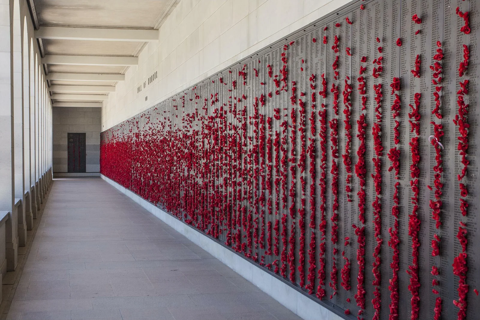 Red paper poppies tucked into bronze memorial panels bearing names of fallen soldiers.
