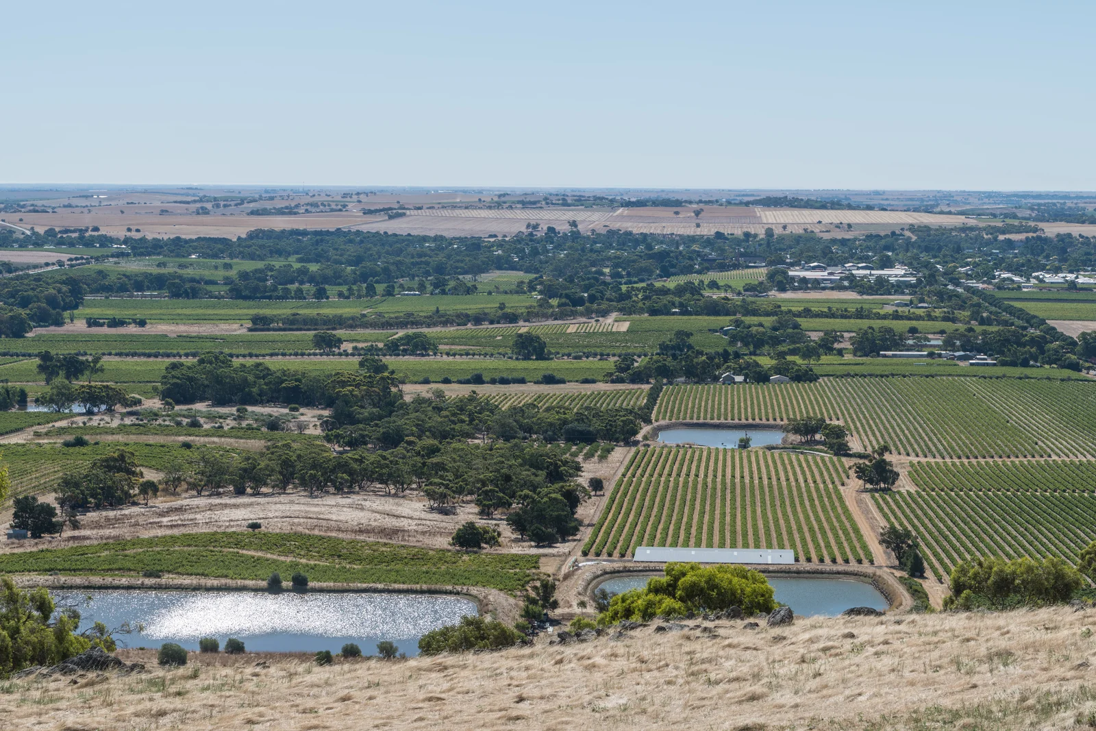 Expansive panoramic view over green vineyard rows and rural hills under a bright blue sky.