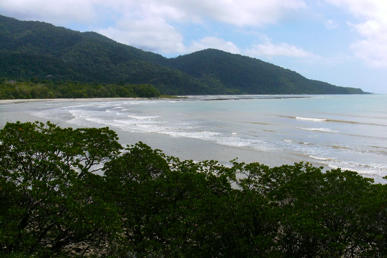 Lush tropical rainforest canopy meeting the golden sand beach and coastal waters at Cape Tribulation.