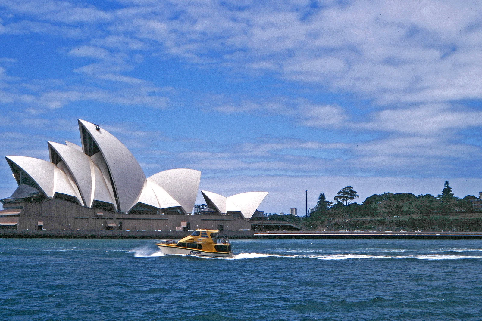 Chevron pattern of white and cream ceramic roof tiles covering the Sydney Opera House shells.