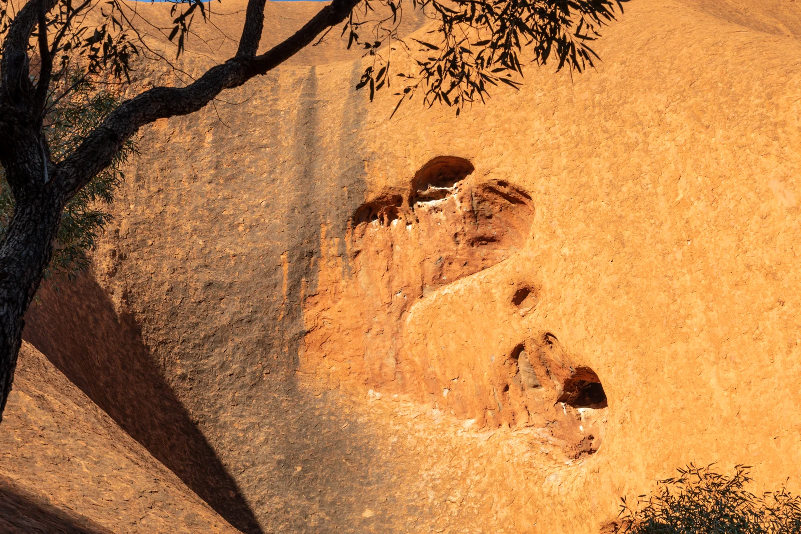 Desert vegetation and red sand dunes beneath the sheer rock face of Uluru.