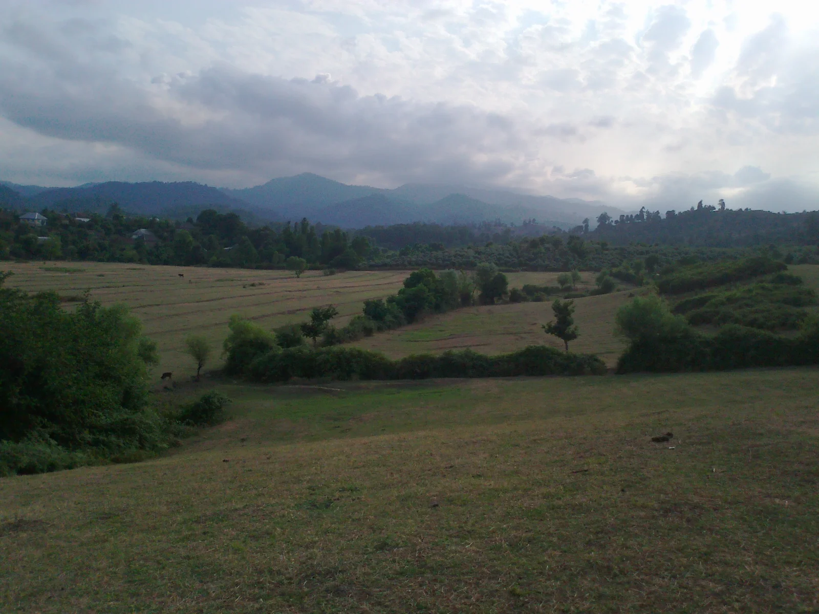 Panoramic view of forested slopes and verdant rural hillsides in the Talysh Mountains of southeastern Azerbaijan.