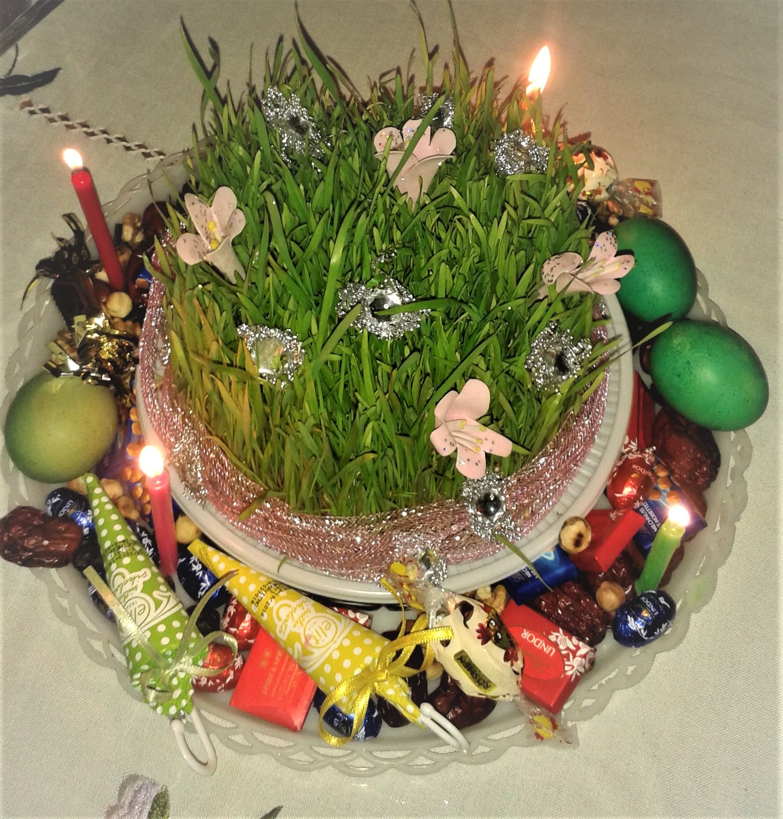 Dense green sprouted wheat growing in a circular dish bound with a crimson satin ribbon.