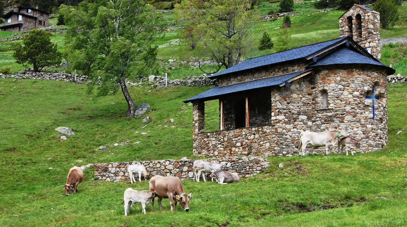 Panoramic view of a lush green highland alpine valley surrounded by dramatic limestone mountain ridges under bright summer sunlight.
