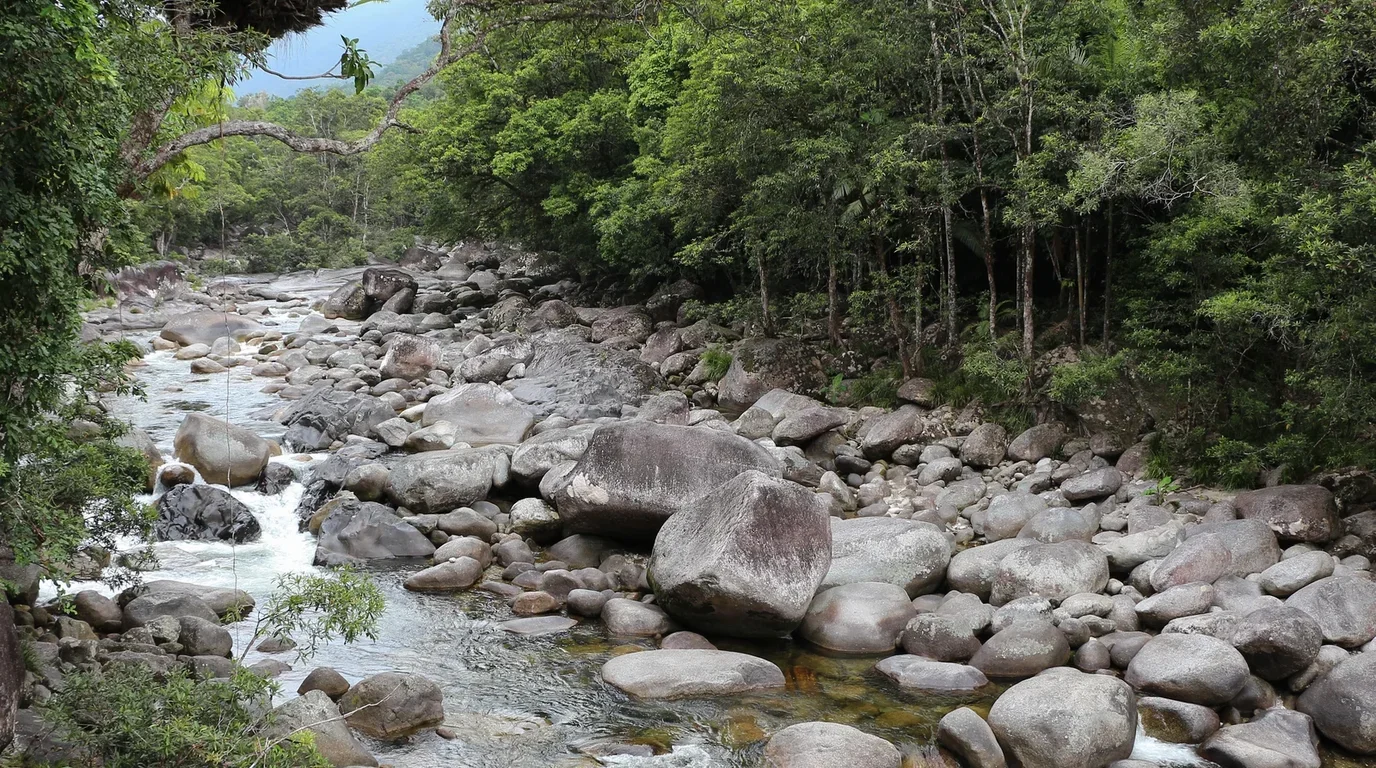 Rescue personnel in safety gear and inflatable rescue craft navigating river waters near a rocky riverbank.