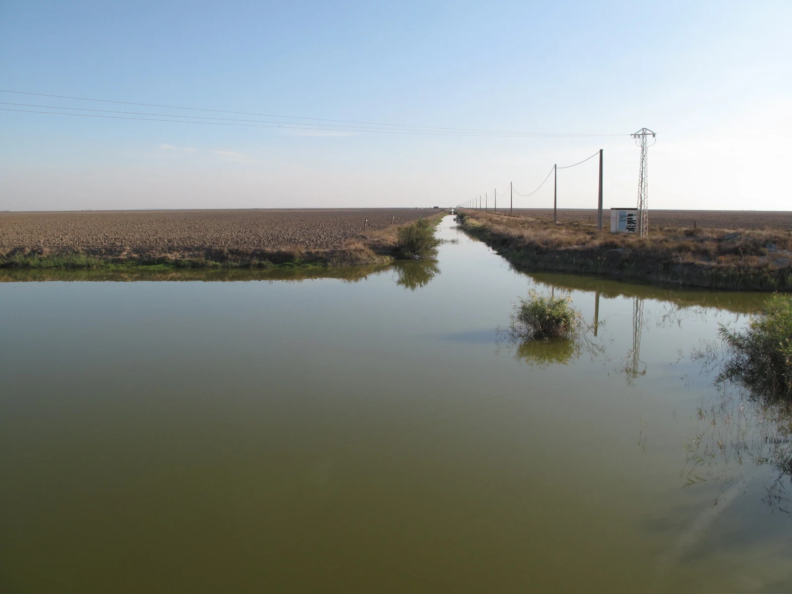 Agricultural water distribution canals and sluices in the lower Guadalquivir rice paddies.