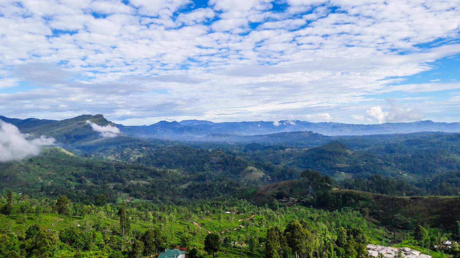 Forested mountain slopes and steep ridgelines of the Central Highlands World Heritage Site.