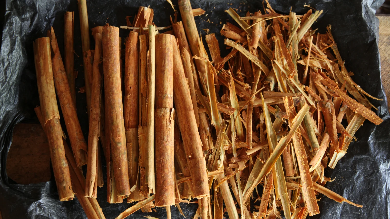 Peeled Ceylon cinnamon quills drying on traditional wooden rafters.