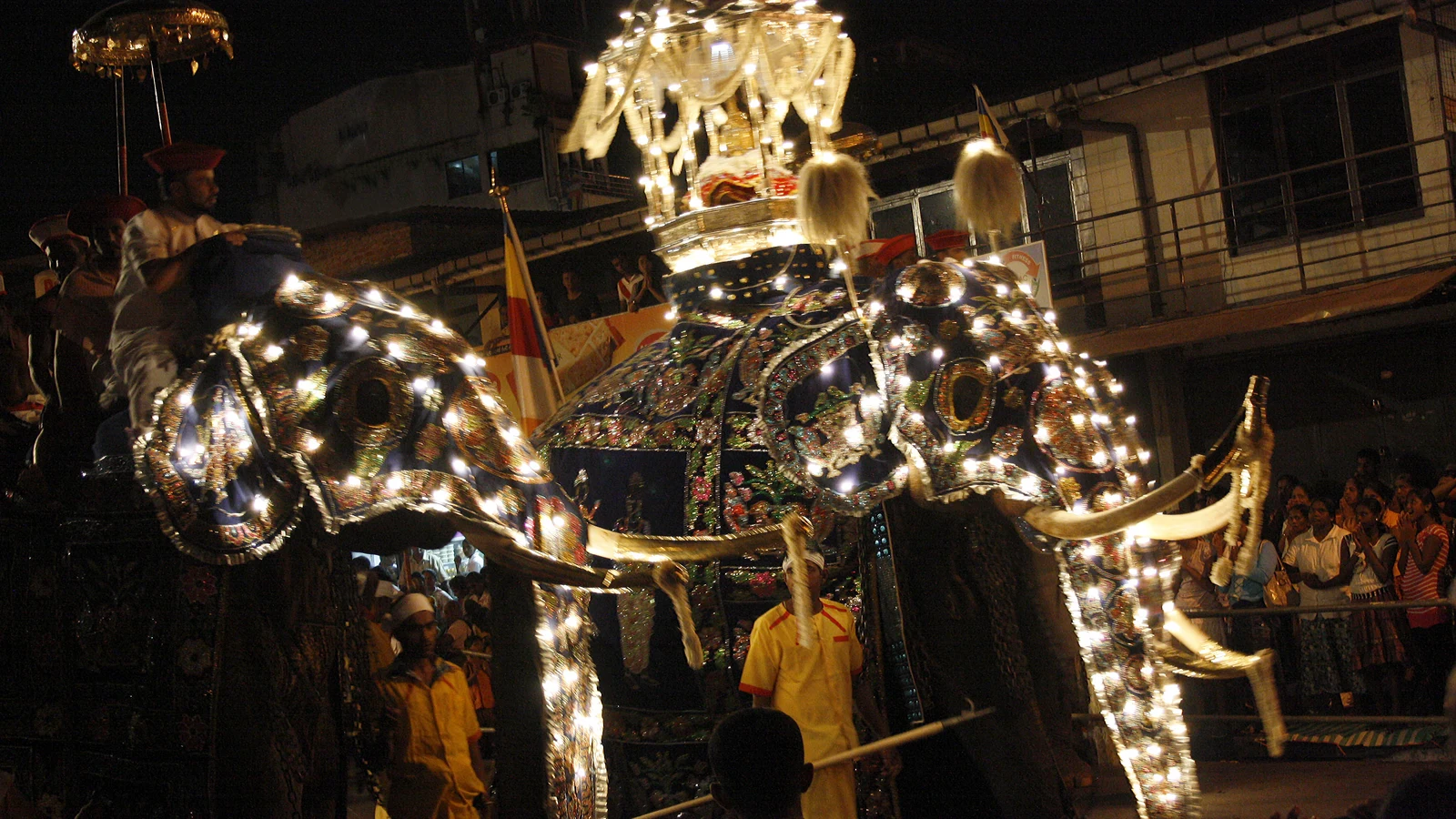 Caparisoned elephants adorned in illuminated embroidered cloths marching through the packed streets of Kandy.