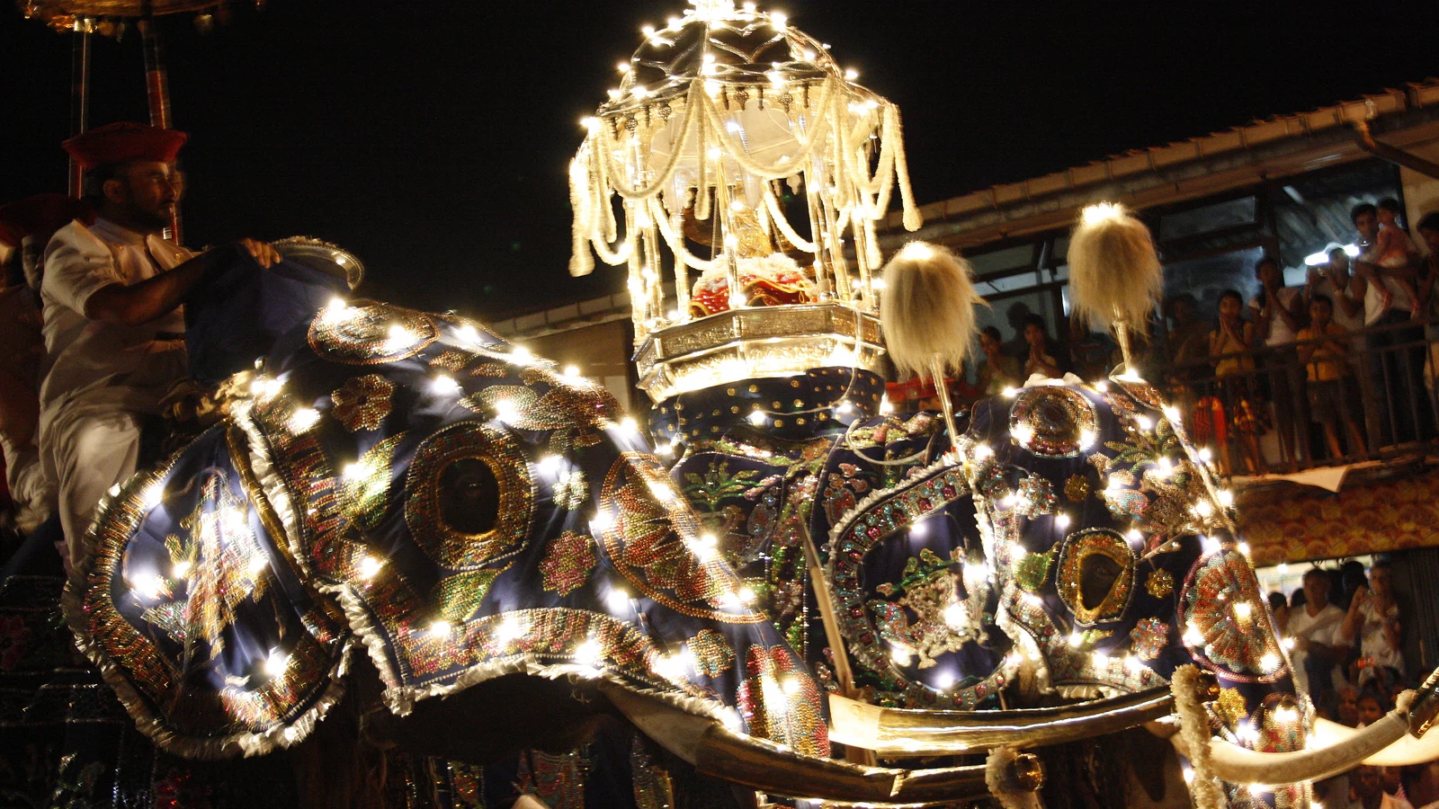 Ceremonial tuskers carrying ornate gear and guarded by temple attendants marching through Kandy.
