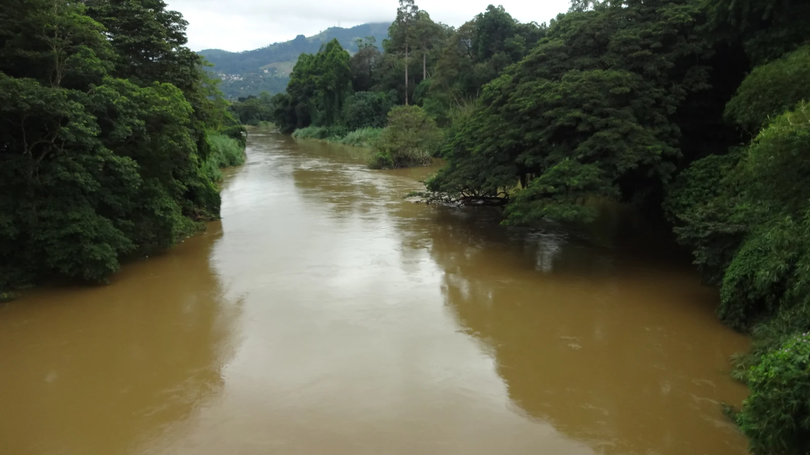 The Mahaweli River winding through lush highland hills near Peradeniya.
