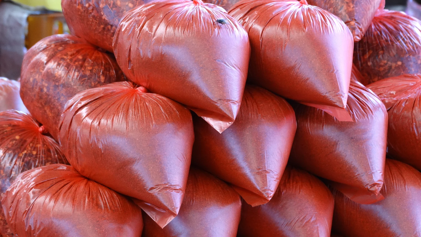 Open burlap sacks of whole dried chilies, legumes, and spices along a Pettah storefront.