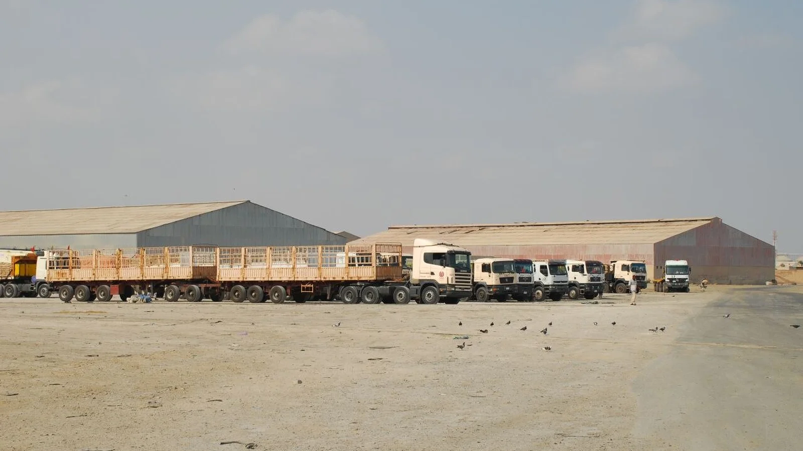 Heavy transport trucks and transit warehouses lining the industrial port perimeter.