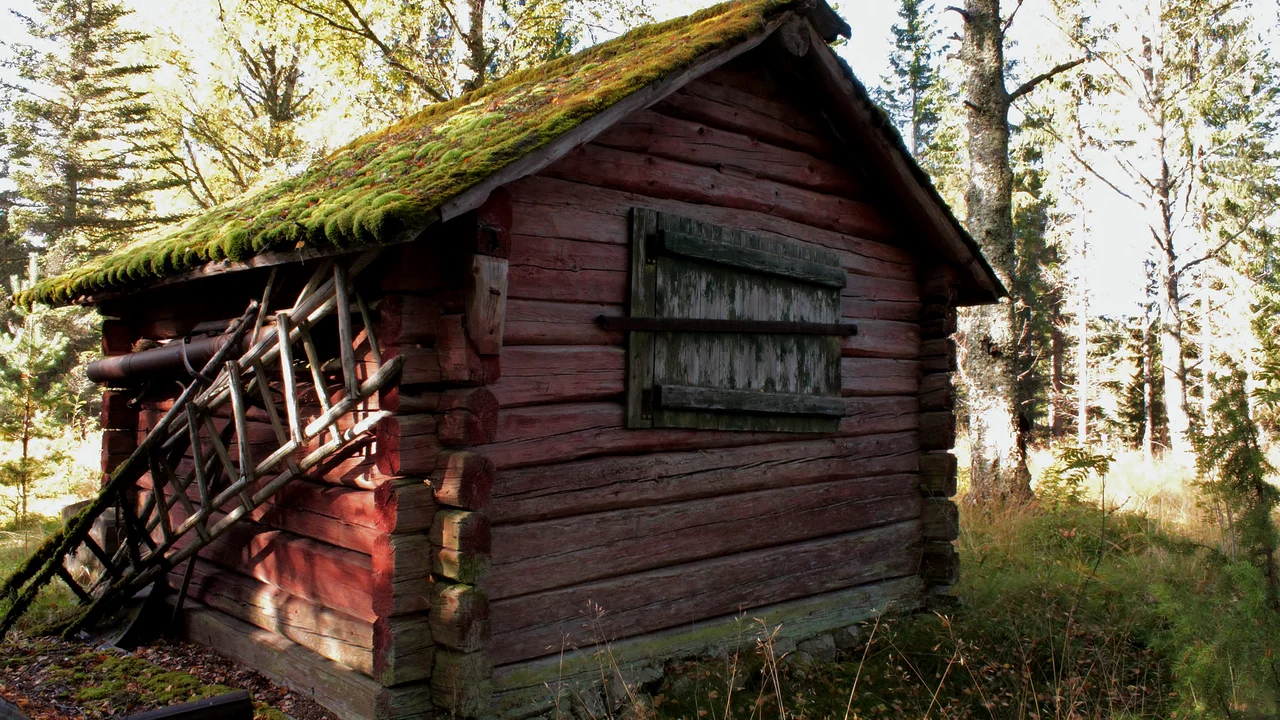Preserved wooden fäbod cabins and stone clearing mounds amidst flowering grasses at Gälbo in Dalarna.