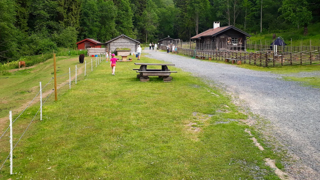 Historic timber cabins and split-rail roundpole fences of Säterdalens fäbod surrounded by green summer woodland.