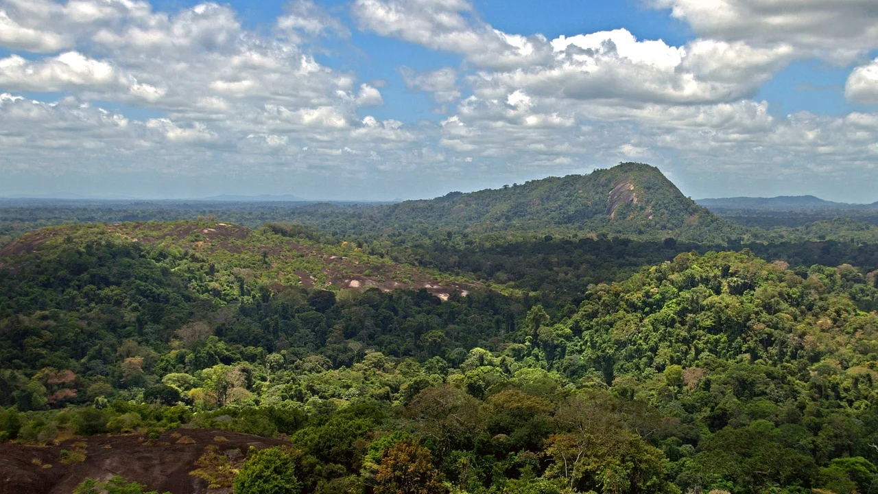 Panoramic view of pristine primary tropical rainforest canopy viewed from the granite summit of Mt. Voltzberg.