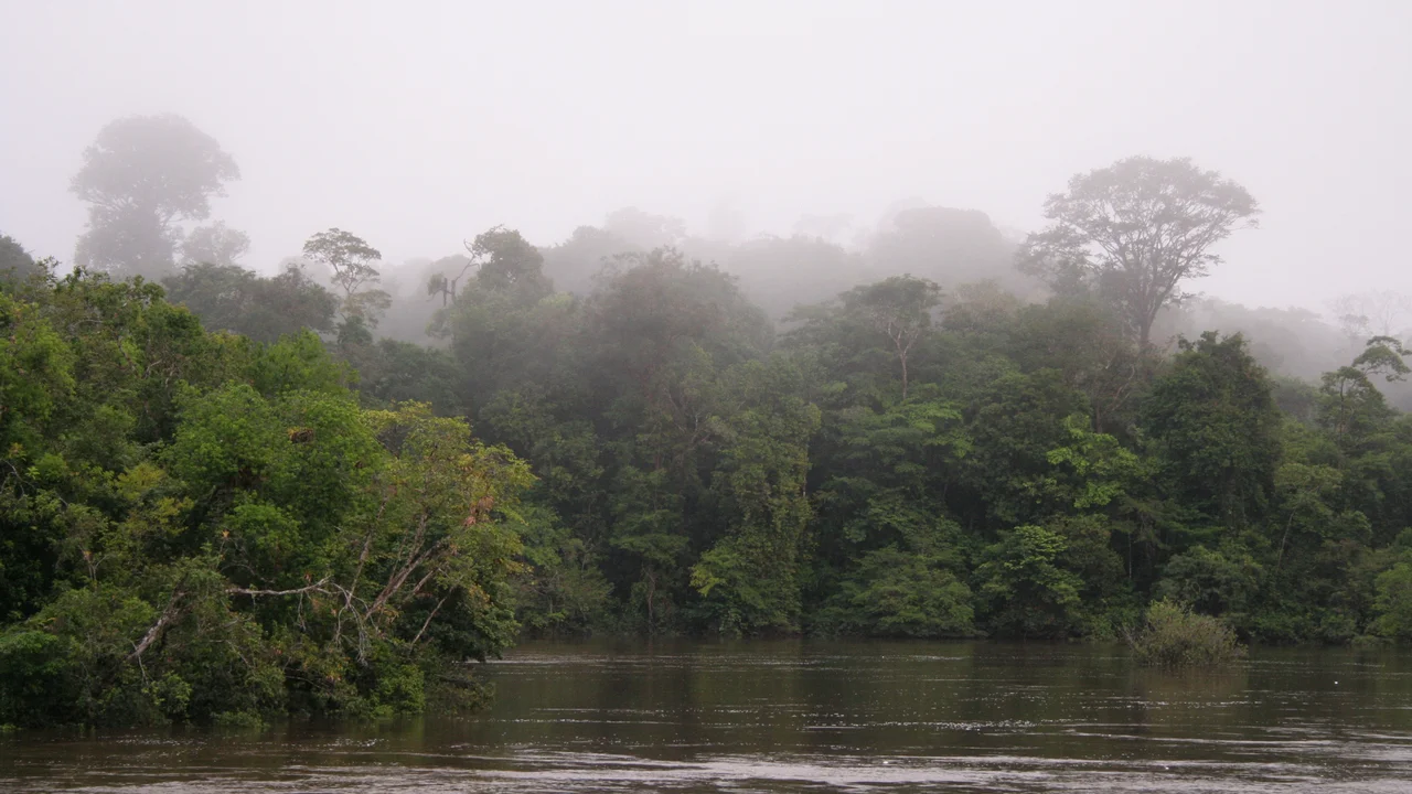 Morning mist and river fog rising over the Coppename River along the forested shores of Foengoe Island.