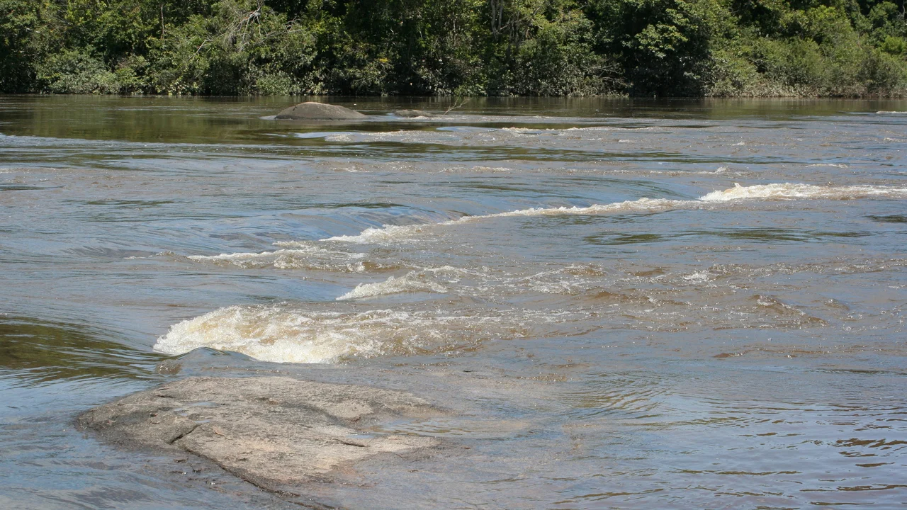 Broad rocky river rapids and cascades of Raleighvallen churning through tropical rainforest on the Coppename River.
