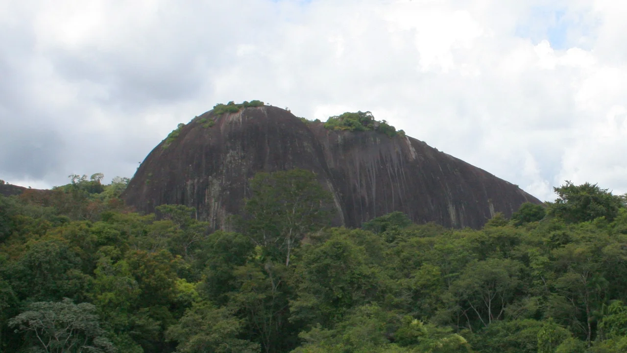 Bare granite inselberg dome of Mt. Voltzberg rising sharply above the surrounding dense green jungle canopy.