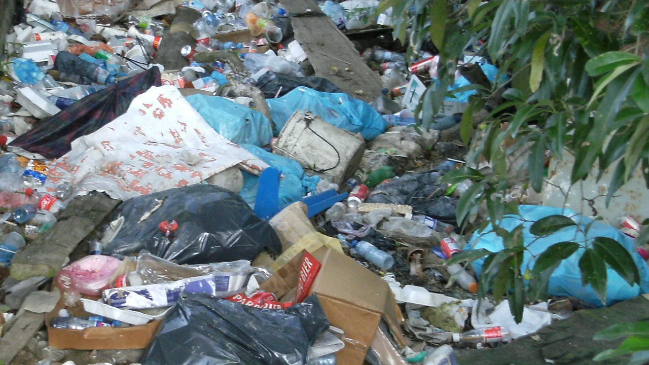 Street clearing and waste management operations underway on a Paramaribo thoroughfare.