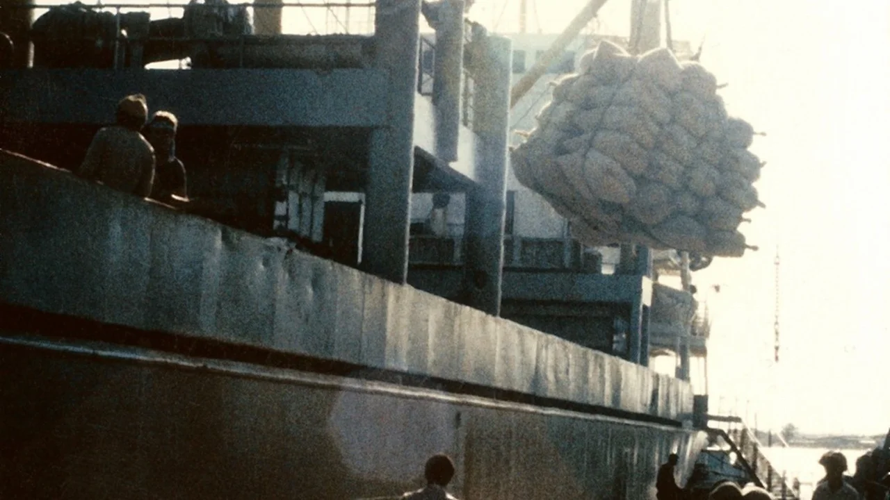 Cranes and dockworkers loading bagged milled rice aboard an ocean-going cargo vessel at the Port of Nieuw Nickerie.