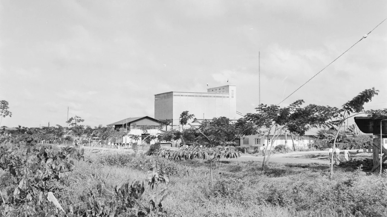 Industrial rice processing and drying silos located at the central milling facility in Wageningen.