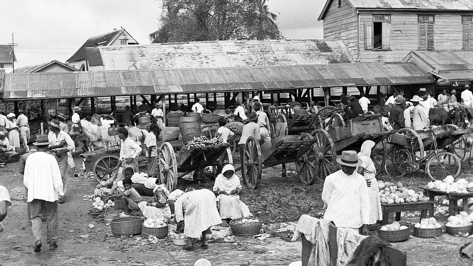 Produce traders arranging fresh root crops and agricultural ingredients in the municipal market.