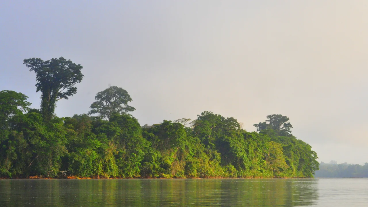 Expansive view of the Marowijne River bordered by dense primary equatorial rainforest along the international border.