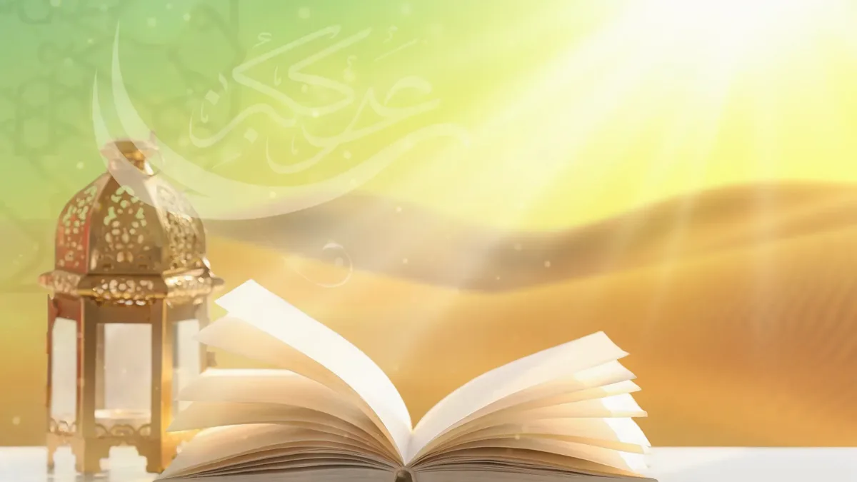 Comparing and Contrasting