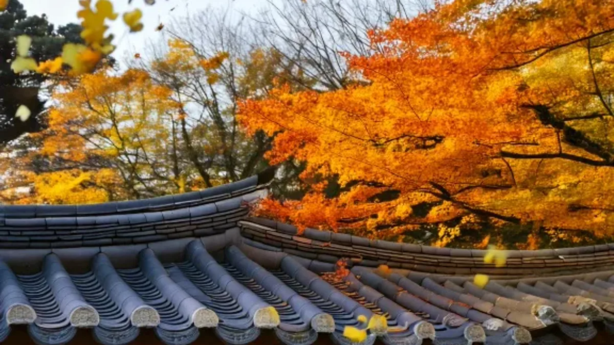 Describing Places and Actions