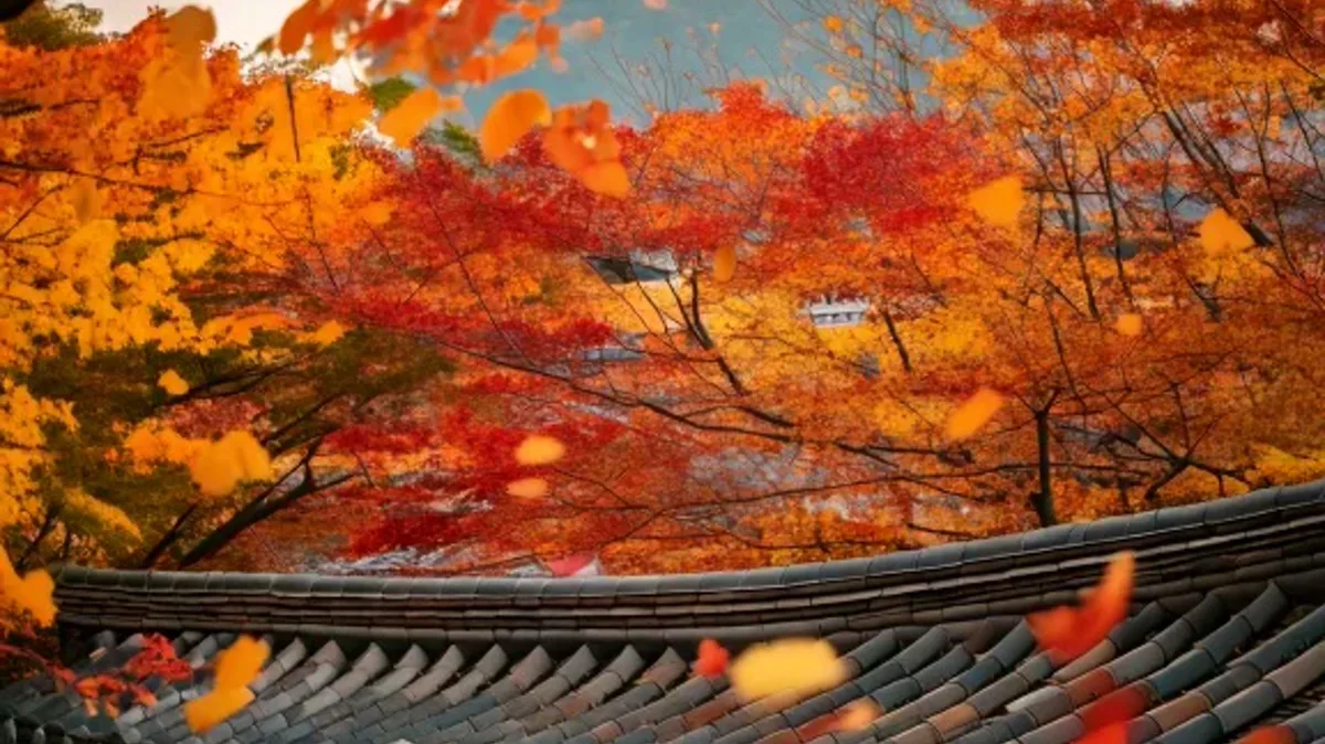 Setting Boundaries: Time, Place, and Frequency