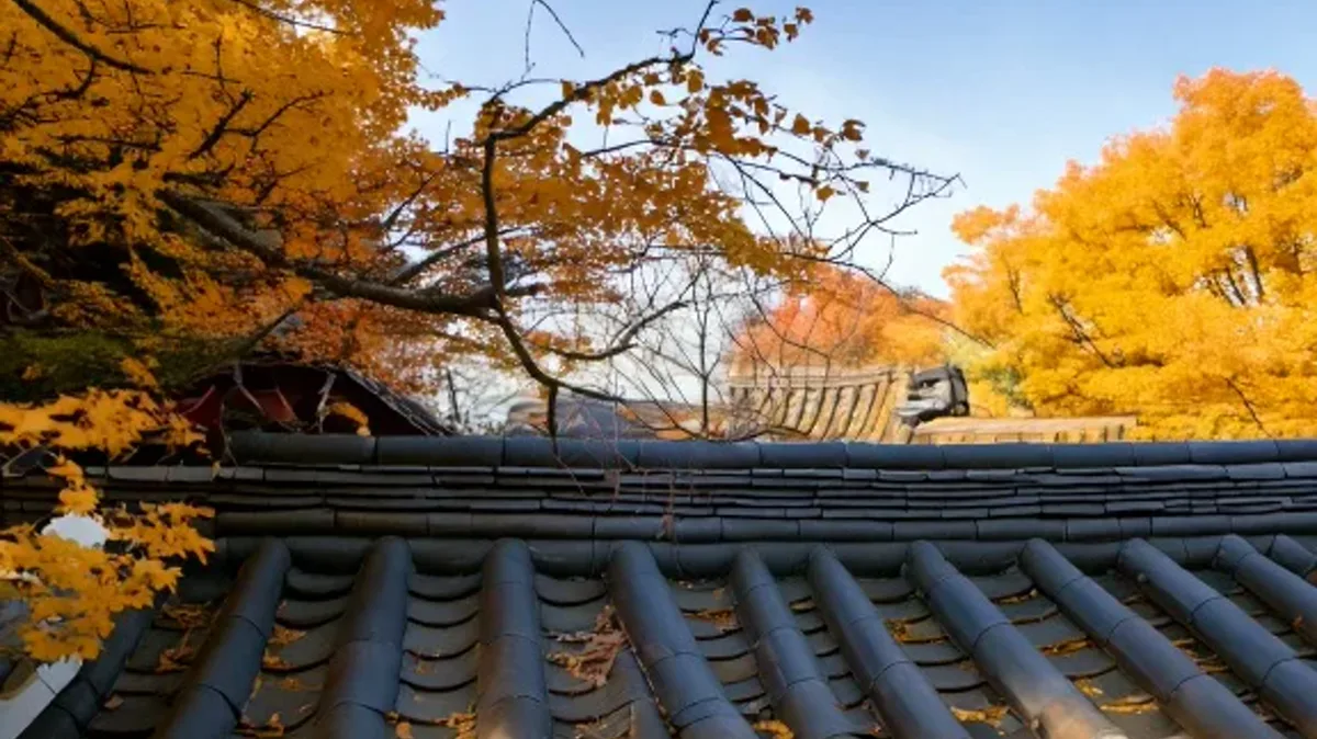 نه گفتن و دستورای منفی تو کره‌ای!