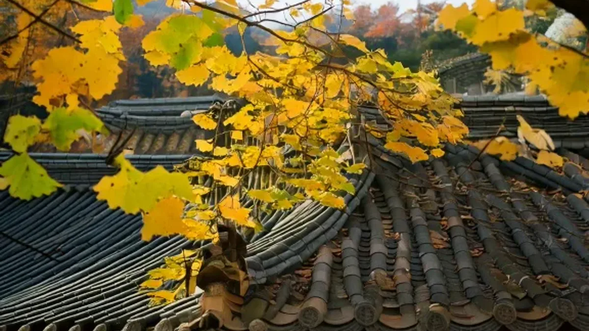 Common Verb and Adjective Changes