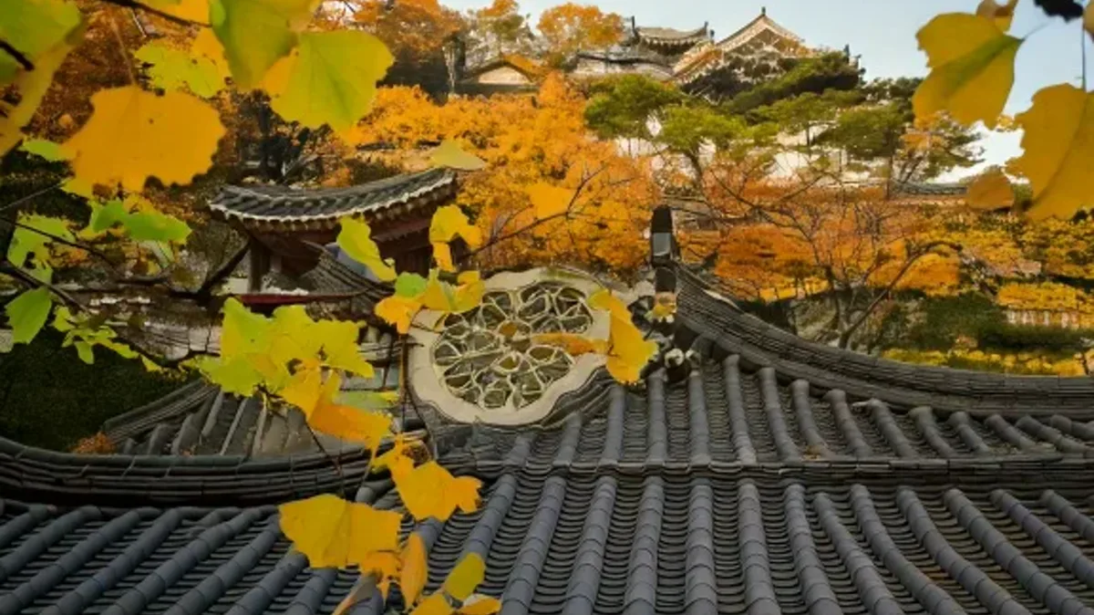 Describing Colors and Showing Respect