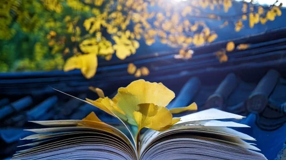 Describing Nouns and Creating Concepts