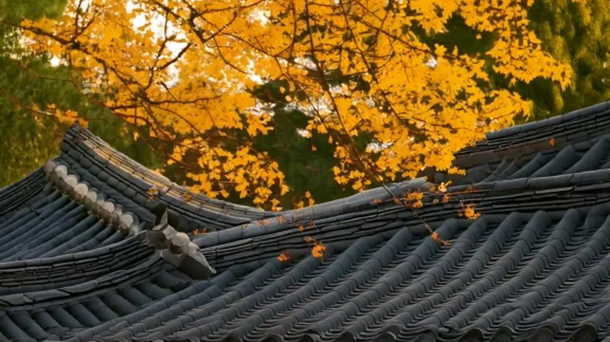 Expressing Limits and Emphasis