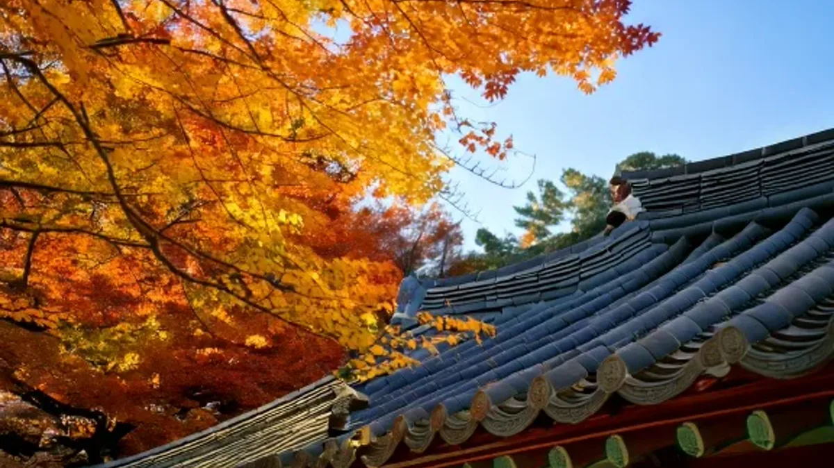 Formal Logic and Flow