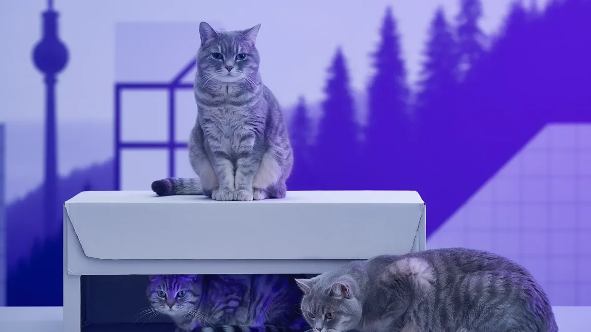 Advanced References and Idiomatic Expressions