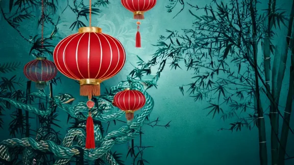 Professional Flow and Transitions