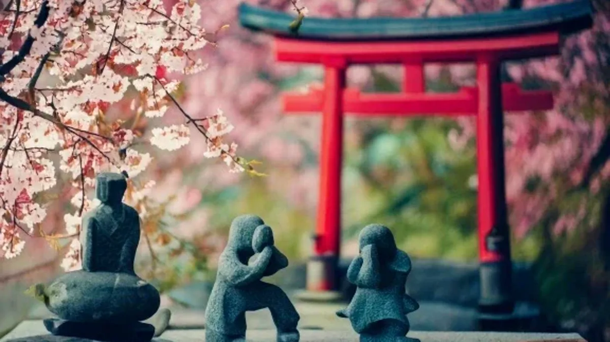 Advice, Obligations, and Inevitability