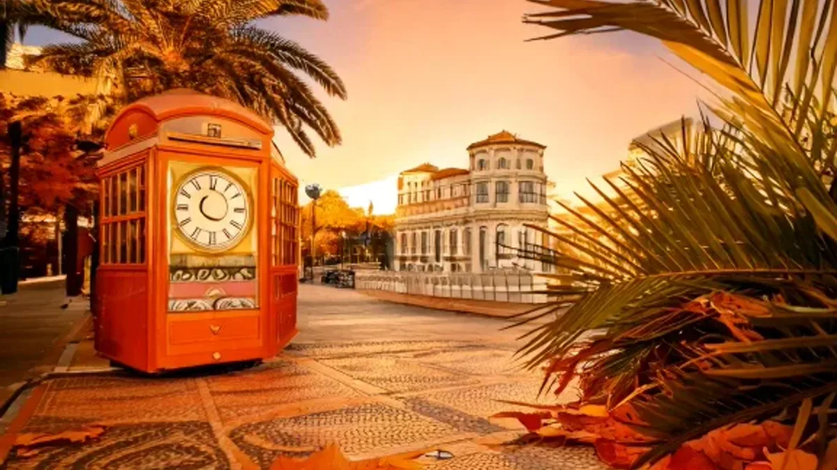 Describing the Past & Looking Ahead