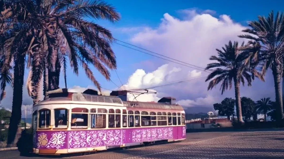 Expressing Purpose, Contrast, and Tense Harmony