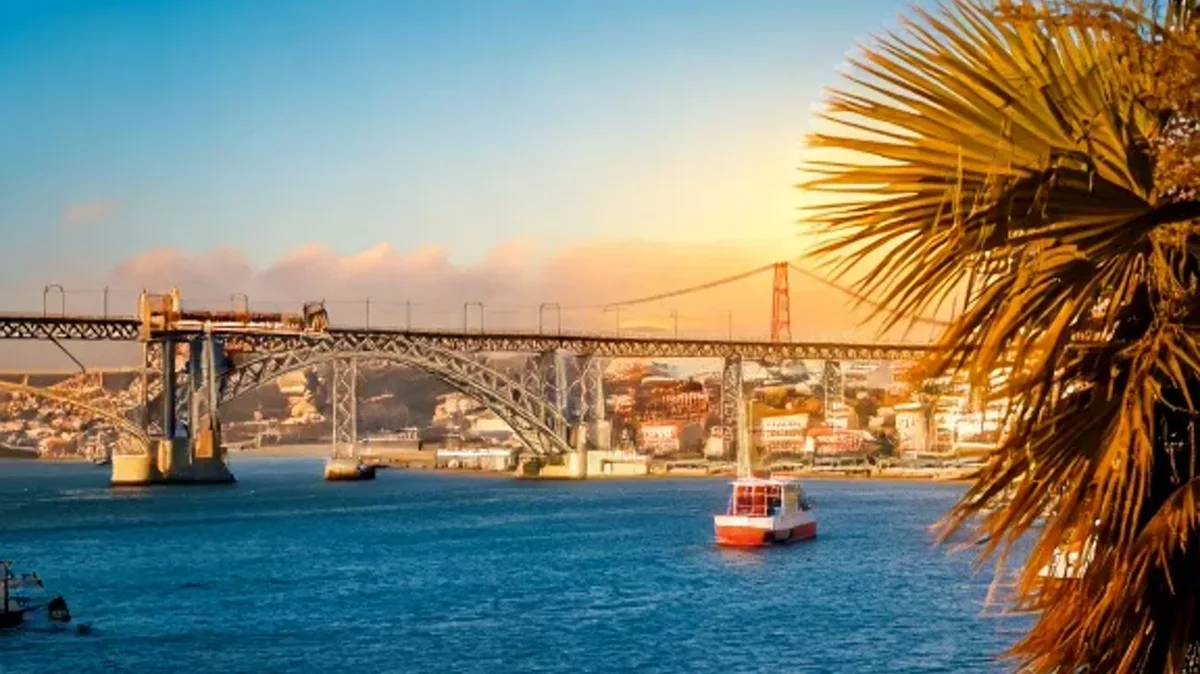 Academic Excellence: Structuring High-Level Discourse