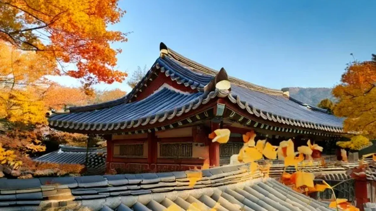 Advanced Timelines and Mood Foundations