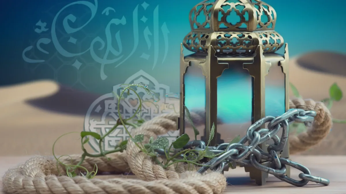 Connecting Ideas: Time, Cause, and Contrast