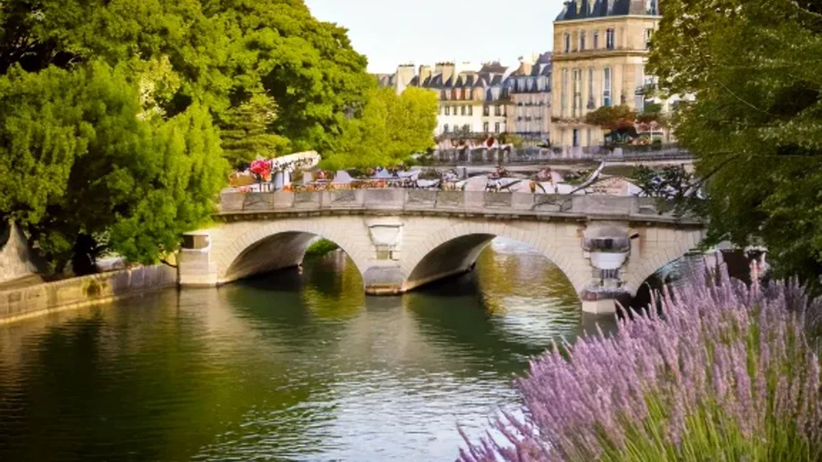 Explaining Why and How