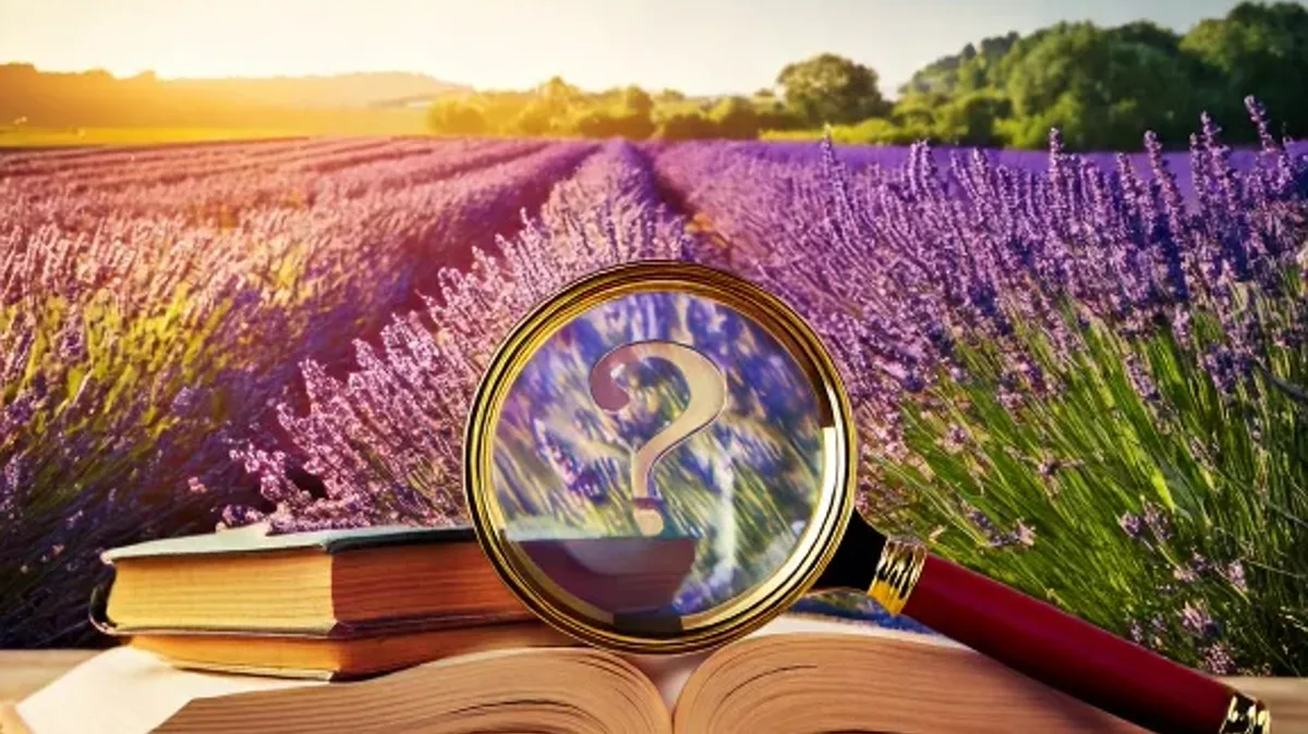 Asking Simple Questions